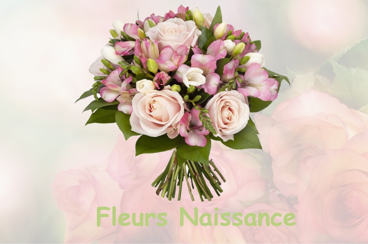 fleurs naissance SAINT-LAURENT-D-ANDENAY